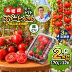 高糖度 ミニトマト スイートベル 房どり 170g