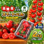 高糖度 ミニトマト スイートベル 房どり 170g