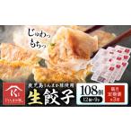 鹿児島 うんまか豚 生餃子 108個