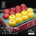 りんご 赤い誘惑 サンふじ&シナノゴールド 約5kg