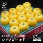産りんご 赤い誘惑 シナノゴールド 約5kg