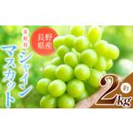 ショッピングふるさと納税 シャインマスカット ふるさと納税 【2026年先行予約】 農家さん応援！！【 ご家庭用 】シャインマスカット 約 2kg 【9月下旬頃〜発送予定】 | 果物 くだもの フルー.. 長野県塩尻市