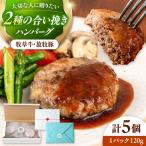 ハンバーグ 5個