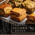 自家製 スコーン 詰め合わせ 100g