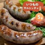 いつものサルシッチャ 100g×5本セット