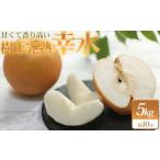 幸水 5kg