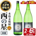 西の星 ビン 25度 1800ml×2本