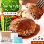 ハンバーグ 15個