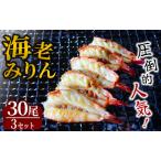 ふるさと納税 干物 旭洋丸水産 手作り海老みりん 3セット【 干物 干物 干物 干物 干物 干物 】 静岡県南伊豆町