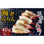 ふるさと納税 旭洋丸水産手作り干物 海老みりん 4セット 【 干物 】 静岡県南伊豆町