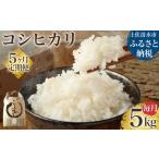 令和6年産 新米 コシヒカリ精米5kg 1袋