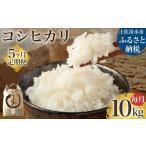 令和6年産 新米 コシヒカリ精米10kg 1袋
