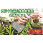 遠山植物観察会 体験チケット 1~5名様