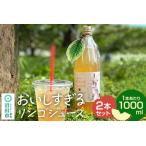 おいしすぎるリンゴジュース 1000ml×2本