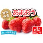 あまおう 計約1kg 250g×4P