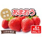 あまおう 計約1kg 250g×4P