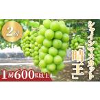 ショッピングふるさと納税 シャインマスカット ふるさと納税 シャインマスカット「晴王」2房 (1房600g以上) 化粧箱入り【2026年8月下旬〜10月下旬発送予定】 岡山県井原市