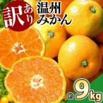 訳あり 温州みかん 約9kg