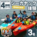 実施 シーカヤック体験チケット 4時間 3名