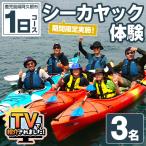 実施 シーカヤック体験チケット 1日 3名