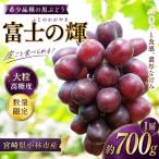 ぶどう 富士の輝 1房