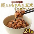 ふるさと納税 玄米パック 160g × 24個 12個 × 2ケース 発酵のちから 糀入りもちもち玄米 もち麦 ブレンド 選べる ご飯パック ご飯 玄.. 大阪府松原市