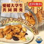 ナッツ ソイキャラメルナッツ 135g