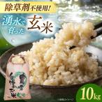 玄米10kg 玄米