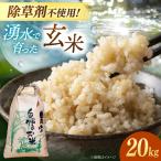 玄米 20kg