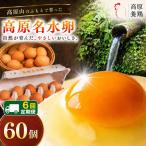高原名水 卵 60個