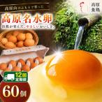 高原名水 卵 60個