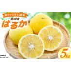 CD020 森崎果樹園 自慢のはるか 5kg