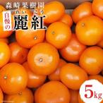 CD021 森崎果樹園 自慢の麗紅 れいこう 5kg