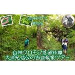 体験ツアー 白神クロモジ蒸留 古道散策 白神アロマ研究所