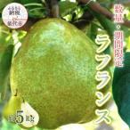 洋梨 大玉 ラフランス