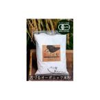 オーガニック米粉 笑みたわわ パン用 1.6kg