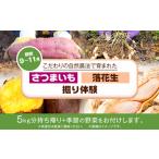 さつまいも 落花生堀り体験 株式会社えか自然農場