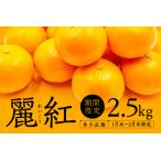 AA089. 麗紅 れいこう 約2.5キロ