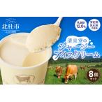 ふるさと納税 清泉寮ジャージーアイスクリーム 120ml×8個 ジャージー アイスクリーム 120ml×8個 ジャージー生乳 プレミアム アイス .. 山梨県北杜市