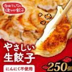 にんにくなし 250個
