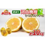 ふるさと納税 訳あり�