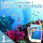 大阪から2時間で叶う 田辺ブルーの海♪ 1名様