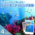 気軽に水中の世界を体験♪ 4名様