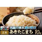 ふるさと納税 <新米受付>令和7年産 あきたこまち 玄米 男鹿の湧水 滝の頭米 10kg 秋田県 男鹿市 いりあいファーム滝の頭 秋田県男鹿市