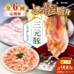 しゃぶしゃぶ セット 900g