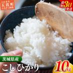 新米 令和8年産 こしひかり 精米 10kg