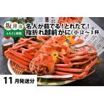 越前がに 中 2杯