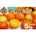 越冬完熟みかん5kg+150g