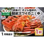 越前がに 中 1杯