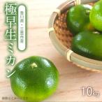 ふるさと納税 極早生(ごくわせ)みかん 10kg 訳あり【配送不可地域:北海道・沖縄県・離島】 【国産みかん 温州みかん みかん 露地みかん 小.. 香川県三豊市